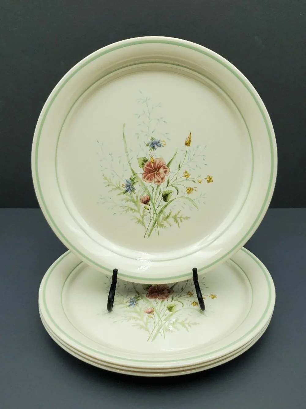 Corning Cornerstone Summer Mist Dinner Plates Corelle Summer Mist Rimmed Plates